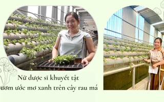 Nữ dược sĩ khuyết tật ươm ước mơ xanh trên cây rau má