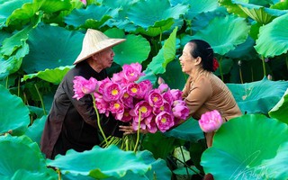 Truyện ngắn: Màu hoa rực rỡ