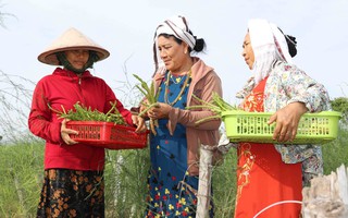 Bình Dương: Sôi nổi các câu lạc bộ dành cho phụ nữ và trẻ em dân tộc thiểu số