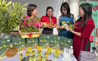 Giao lưu kết nối sinh kế: Động lực thúc đẩy phát triển kinh tế cho phụ nữ dân tộc thiểu số tại Điện Biên