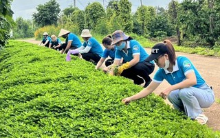 Đắk Lắk: Nỗ lực giải bài toán xử lý rác thải nông thôn