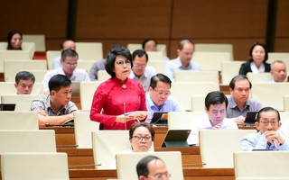 Lo ngại thiếu nhân lực, mạng lưới triển khai hoạt động phòng ngừa, ứng phó bạo lực trên cơ sở giới