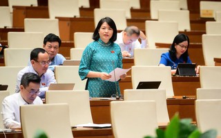Đại biểu Quốc hội lo ngại tình trạng lợi dụng không gian mạng để xâm hại trẻ em