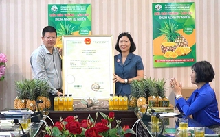 Công nhận nhãn hiệu tập thể "Dứa Bảo Thắng - Lào Cai"