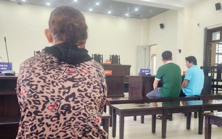Viện KSND đề nghị trả hồ sơ điều tra lại, Tòa nghị án kéo dài vụ "bênh mẹ mà phạm tội"