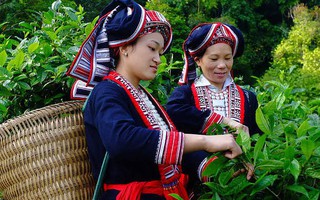 Để mỗi phụ nữ dân tộc thiểu số trở thành một
"người thay đổi"
