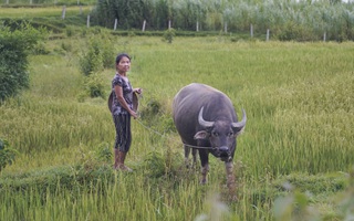 Phủ sóng thông tin, tiếp sức hộ nghèo vươn lên thoát nghèo bền vững