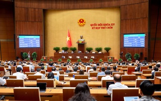 Chủ tịch Hội LHPN Việt Nam là Ủy viên Hội đồng bầu cử quốc gia
