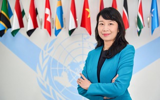 Chân dung nữ Phó giáo sư Việt Nam được đề cử Thẩm phán Tòa án Luật biển quốc tế