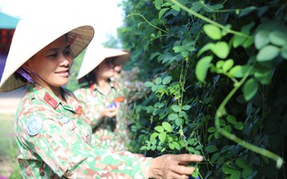Đội Công binh số 3 giúp người dân Abyei nâng cao nhận thức và cải thiện đời sống