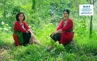 Trải nghiệm: Hành trình hồi sinh những vườn rừng tại  bản Thổ 