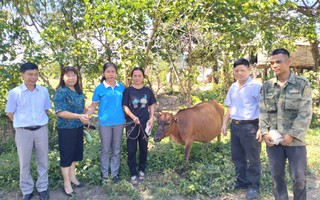 Quỹ Hỗ trợ phụ nữ phát triển tỉnh Gia Lai đồng hành cùng phụ nữ nghèo