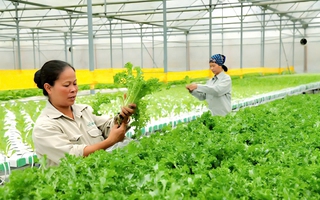 Ra quân Tổng điều tra nông nghiệp, nông thôn năm 2025