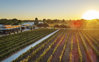 Thưởng thức rượu vang hảo hạng tại thung lũng Swan, Tây Australia
