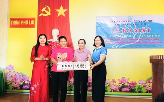 Phụ nữ Hà Tĩnh thúc đẩy xây dựng nông thôn mới từ mỗi gia đình