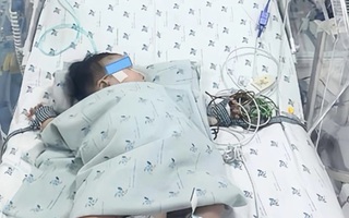 Chu kỳ bùng phát dịch sốt xuất huyết ngày càng rút ngắn