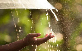 Gọi về những cơn mưa mùa hạ