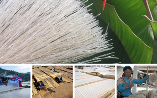Nông sản vùng cao chuyển mình từ bản làng ra thế giới
