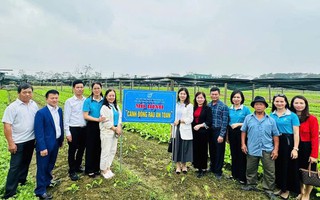 Phụ nữ Nghệ An sáng tạo trong xây dựng Nông thôn mới