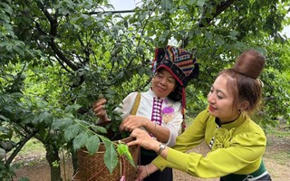 Sơn La: Trao "chìa khóa" giúp nâng cao đời sống phụ nữ dân tộc thiểu số