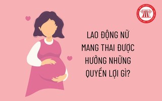 Bị ép nghỉ việc khi đang mang thai - lao động nữ nên làm gì