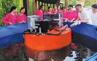Nữ sinh sáng chế "Phòng khám sức khỏe" cho ao làng