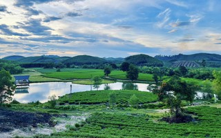 Những vùng quê Nghệ An khởi sắc nhờ xây dựng nông thôn mới