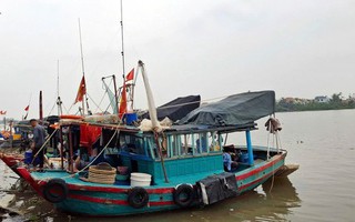 Đề nghị các địa phương kêu gọi 425 tàu thuyền ở vịnh Bắc Bộ vào nơi trú ẩn