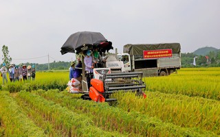 Thái Nguyên: Thúc đẩy kinh tế nông nghiệp gắn với xây dựng nông thôn mới