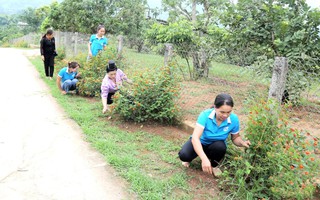 Phụ nữ Sơn La chung tay xây dựng nông thôn mới