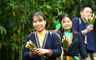 Phát triển kinh tế hàng hóa từ rừng núi: Hướng đi bền vững cho phụ nữ dân tộc thiểu số