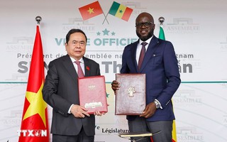 Việt Nam sẵn sàng hỗ trợ Senegal bảo đảm an ninh lương thực