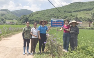 Phụ nữ xã Dân Tiến xây dựng nông thôn mới từ "5 không, 3 sạch"