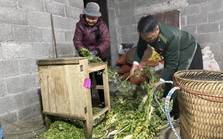 Nữ Bí thư chi bộ góp sức giữ vững chủ quyền biên giới