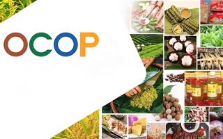 Chương trình OCOP thúc đẩy tiến trình xây dựng nông thôn mới