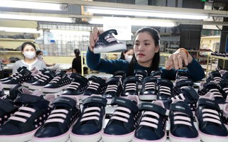 Kết quả khả quan từ việc đạt được đàm phán thương mại với Hoa Kỳ