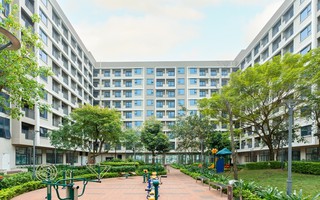 Quy định chi tiết về thí điểm về một số cơ chế, chính sách đặc thù phát triển nhà ở xã hội