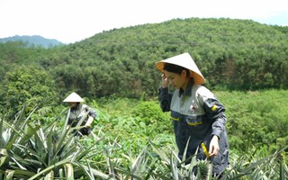 Trở về bản Thổ - hành trình của cô gái bỏ phố về rừng