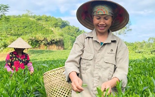 Nâng cao năng lực tiếp cận dịch vụ tài chính cho phụ nữ, các nhóm yếu thế và khu vực nông thôn, miền núi