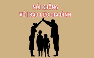 Cơ sở dữ liệu chống bạo lực gia đình: Tăng cường vai trò của Hội LHPN Việt Nam