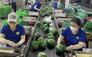 UOB: "Chính sách thuế vẫn là rào cản lớn với Việt Nam"