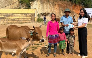 Hỗ trợ 50 mô hình sinh kế cho phụ nữ nghèo