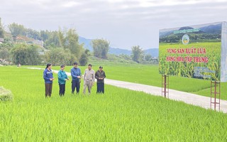  Lai Châu: Hướng dẫn hỗ trợ phát triển sản phẩm OCOP khi thực hiện chính quyền địa phương 2 cấp