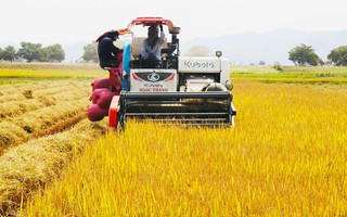 Xã Ia Rbol quyết tâm bứt phá, phát triển toàn diện