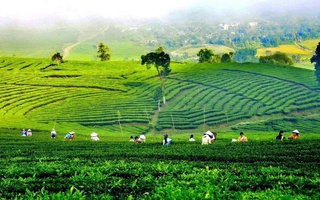 Phấn đấu đến năm 2030, toàn tỉnh Lai Châu có 10 xã đạt chuẩn Nông thôn mới