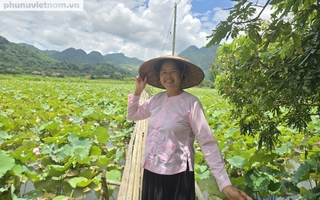 Ý tưởng làm du lịch từ đầm sen quê của người phụ nữ dân tộc Tày 