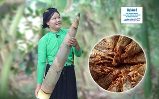 Trải nghiệm: Chế biến sản phẩm từ cây "xóa đói giảm nghèo" của núi rừng Lâm Thượng