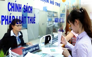 Người cho thuê nhà cần kê khai, nộp thuế ra sao để đúng quy định, tránh bị xử phạt