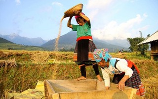 Xây dựng nông thôn mới cần thực hiện chuyển đổi số nông nghiệp, quản lý nông thôn vùng Tây Bắc