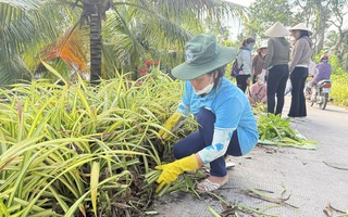 Phụ nữ Vĩnh Long chung tay xây dựng nông thôn mới bằng nhiều mô hình thiết thực, hiệu quả